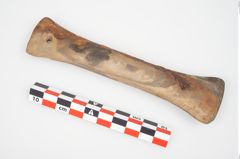 Foto von Schleifstein (NHMW-PRAE-026175)